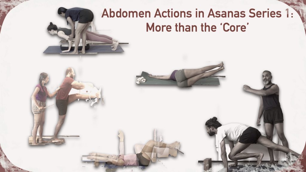 Abdomen Actions in Asanas Series 1.001