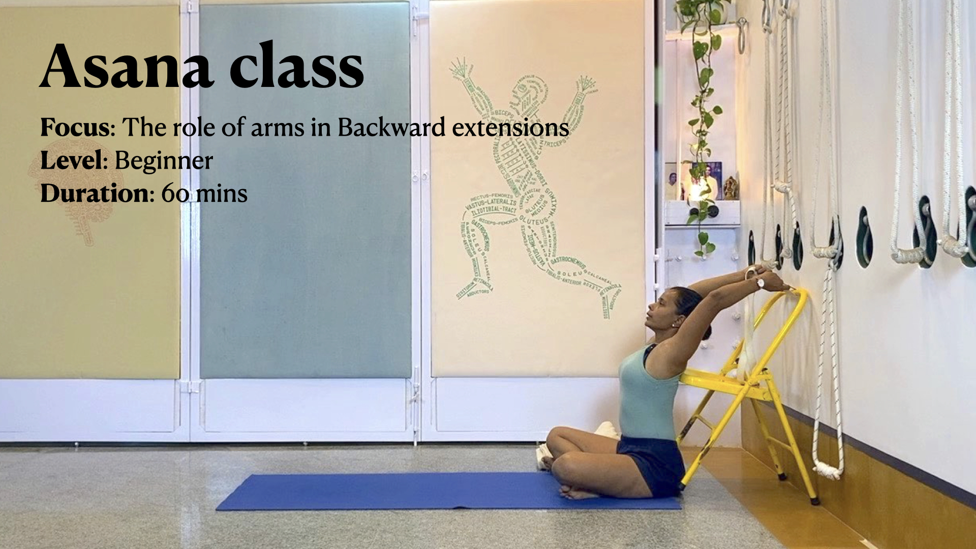 Role of Shoulders and Arms in Back Arches (level Exp Beginner) - The ...